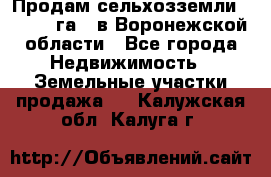 Продам сельхозземли ( 6 000 га ) в Воронежской области - Все города Недвижимость » Земельные участки продажа   . Калужская обл.,Калуга г.